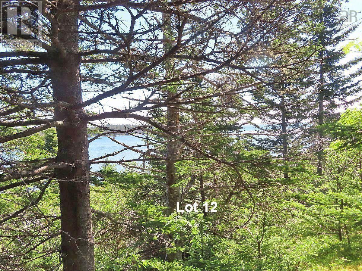 Lot 12 316 Hwy (english Harbour) Property Photo 24