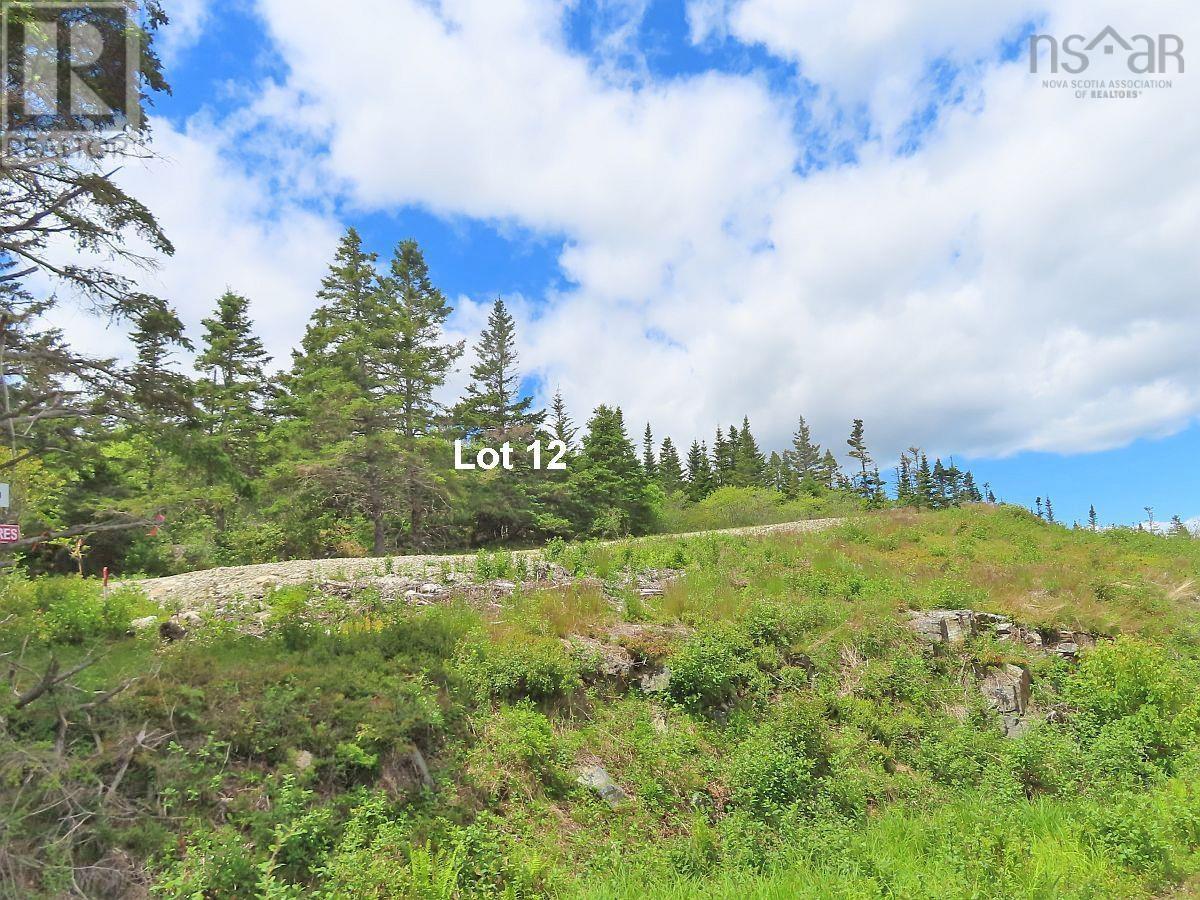 Lot 12 316 Hwy (english Harbour) Property Photo 40