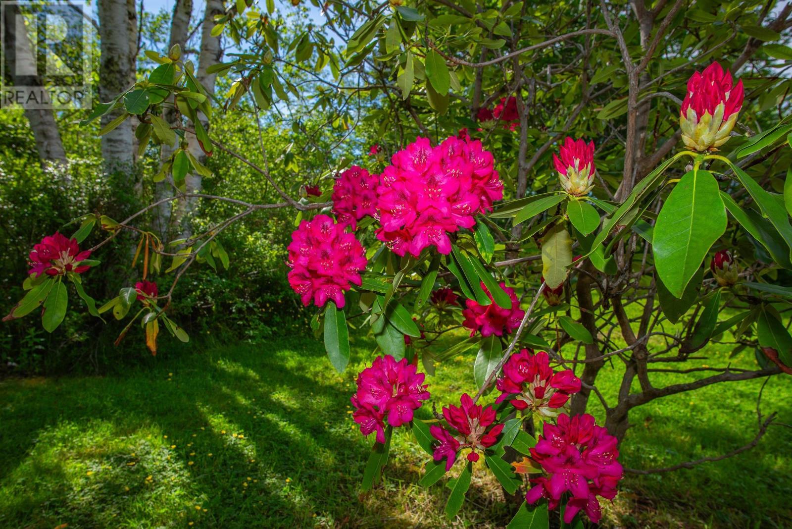 532 Saulnierville Road Property Photo 48