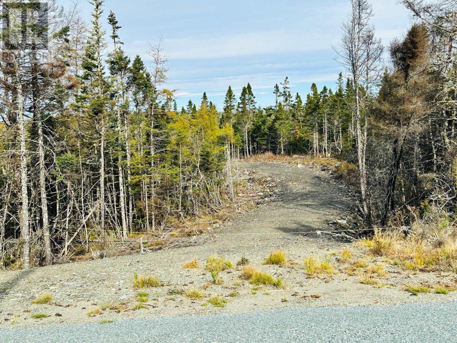 Lot 09-4 West Liscomb Point Road Property Photo 21