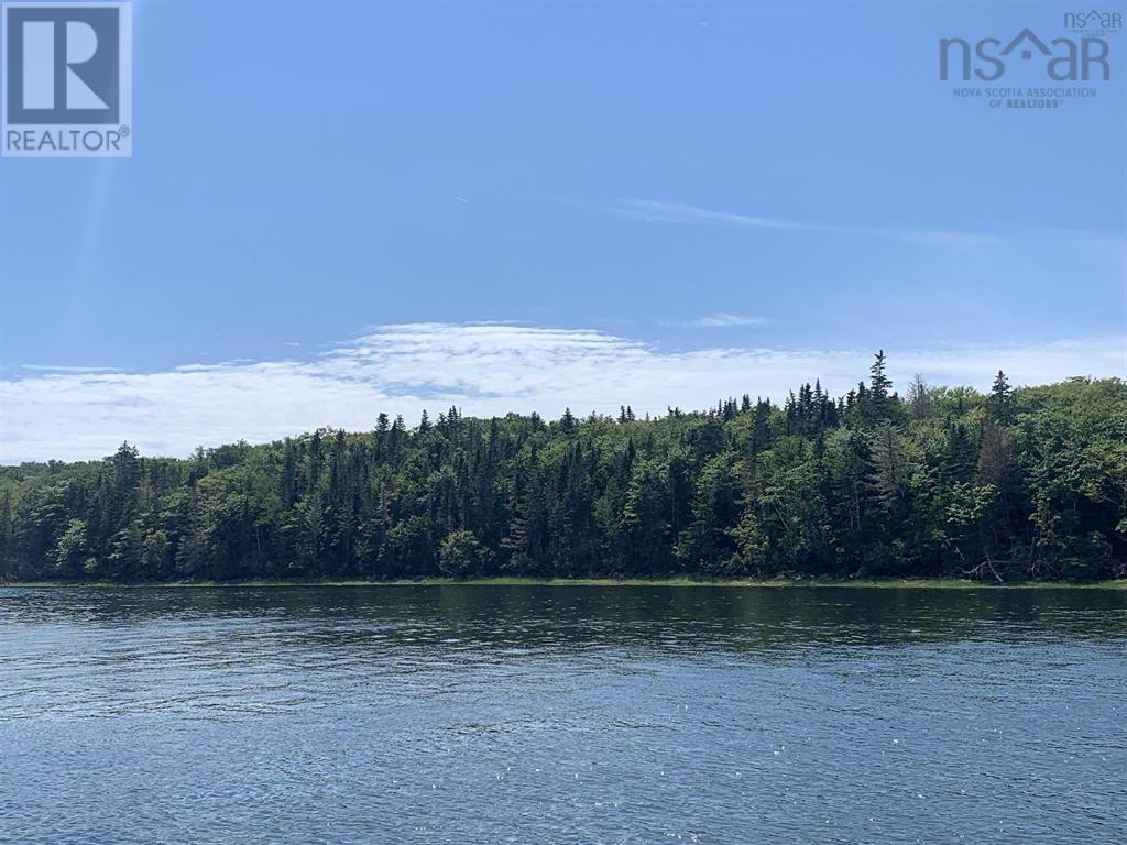 Mikes Island Property Photo 12