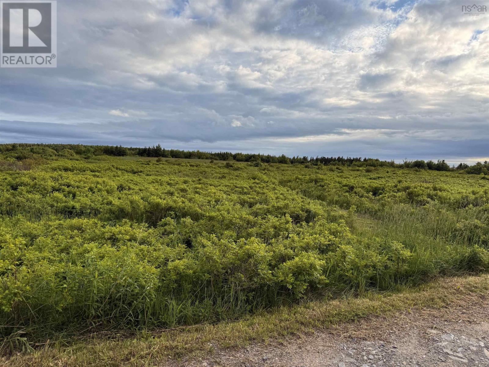 Chemin Simeon Aucoin Road Property Photo 2
