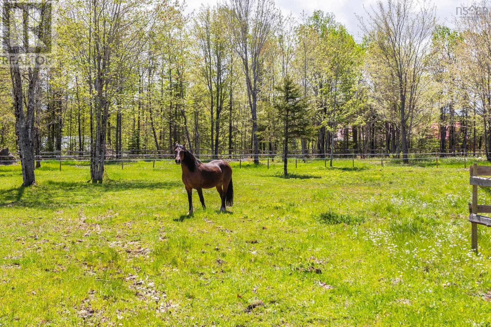 278 Fitch Road Property Photo 12