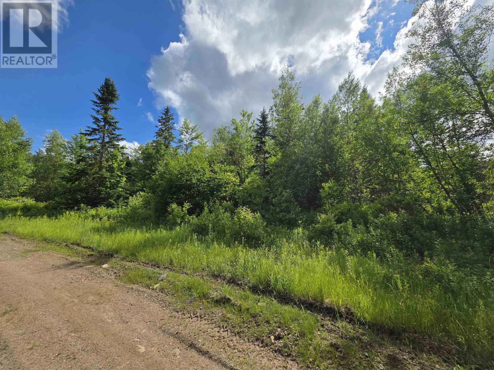 Lot Black River Road
