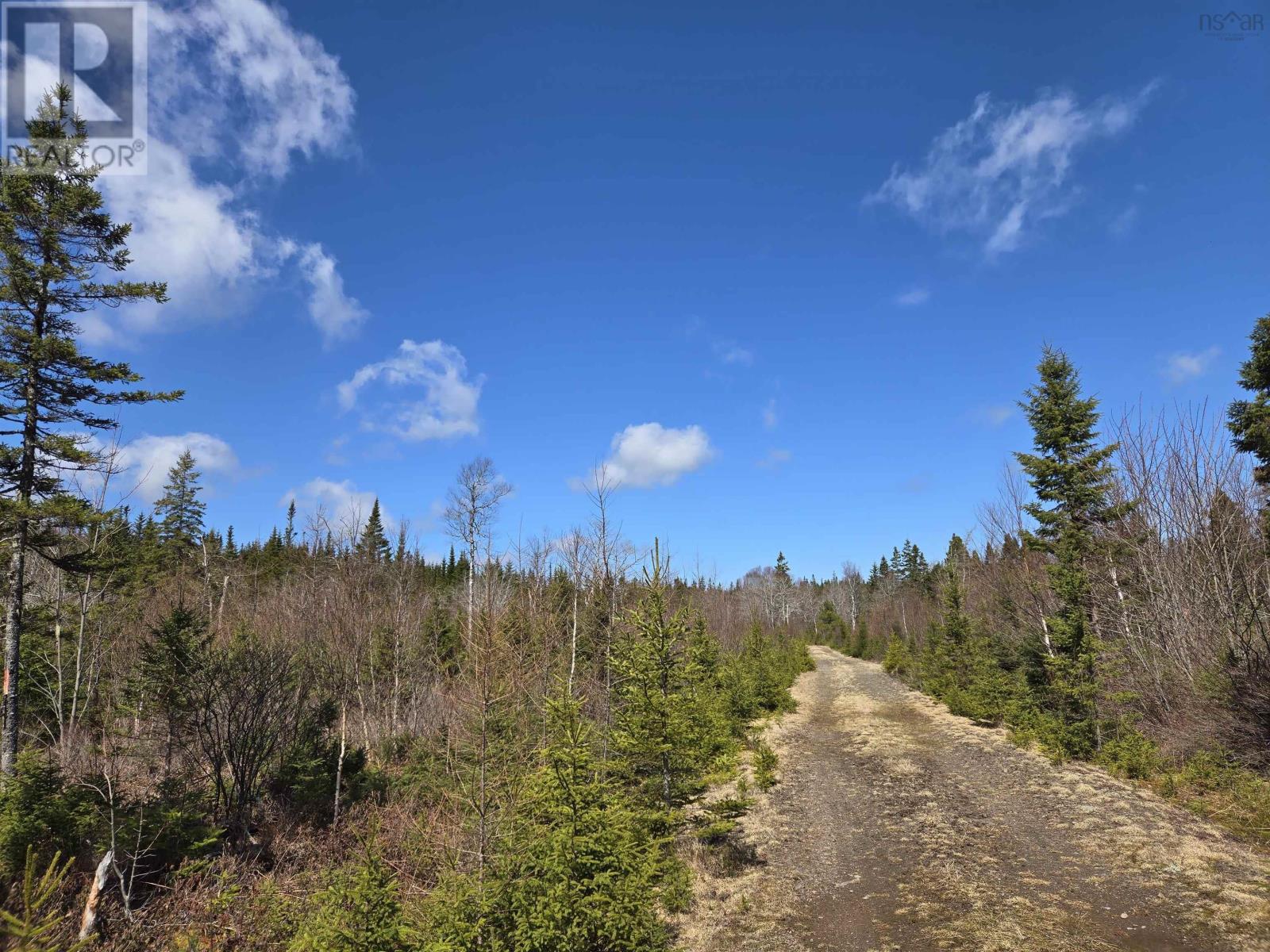 Lot 15 Hill Street Property Photo 16
