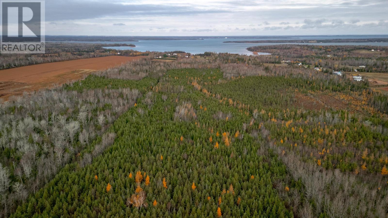 Acreage Gaspereaux Road Property Photo 6