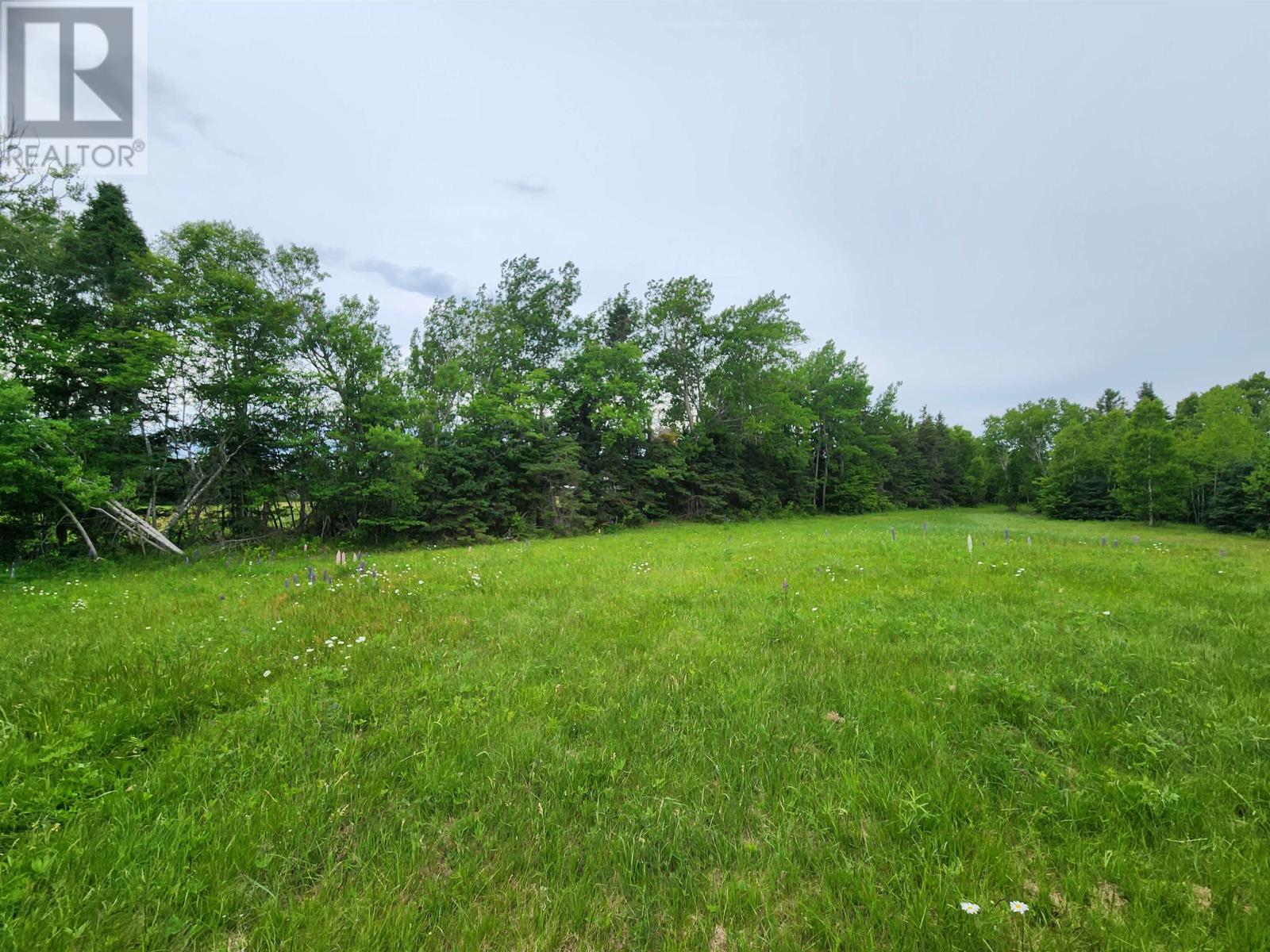 Acreage Gaspereaux Road Property Photo 13