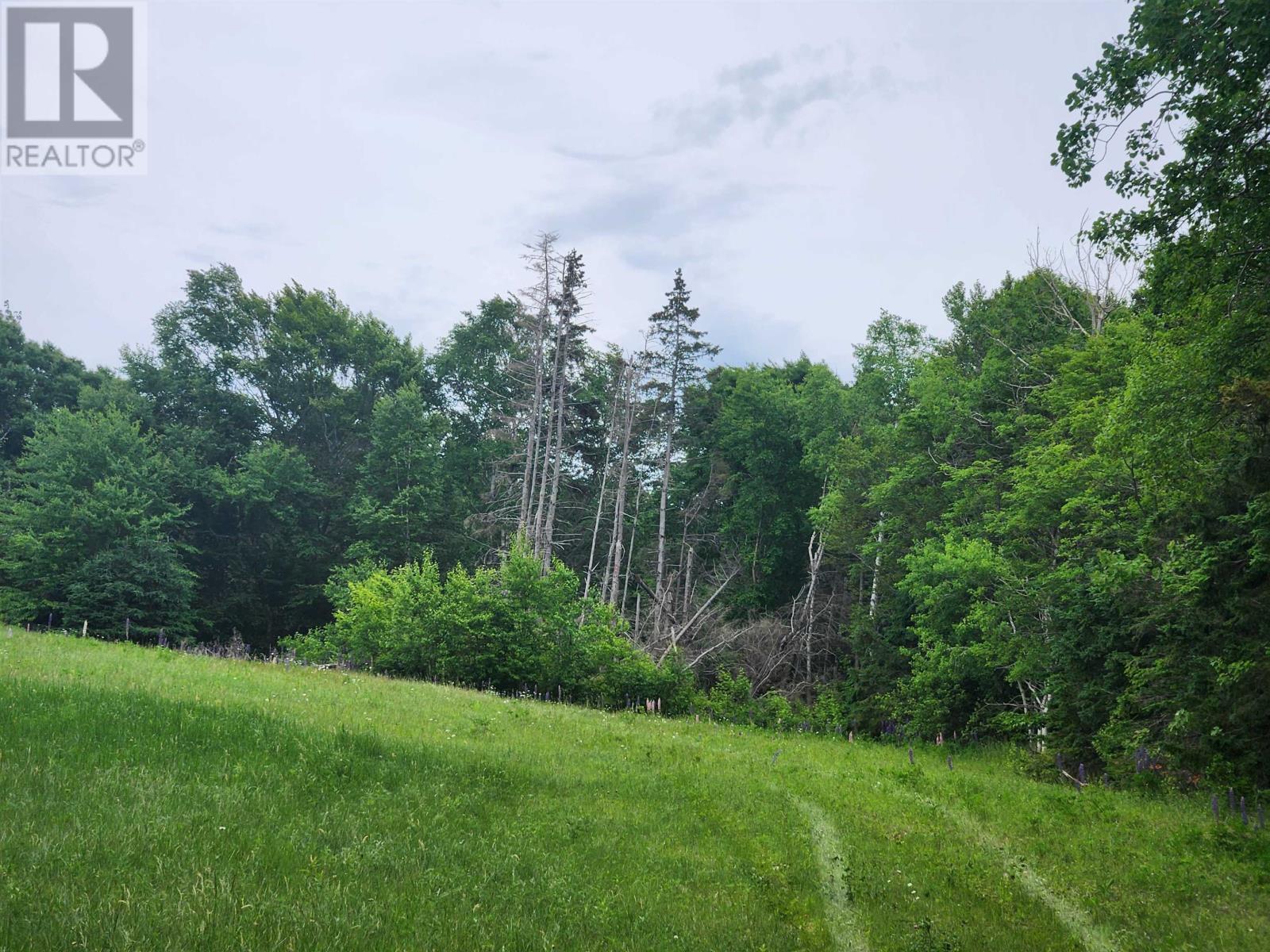 Acreage Gaspereaux Road Property Photo 14