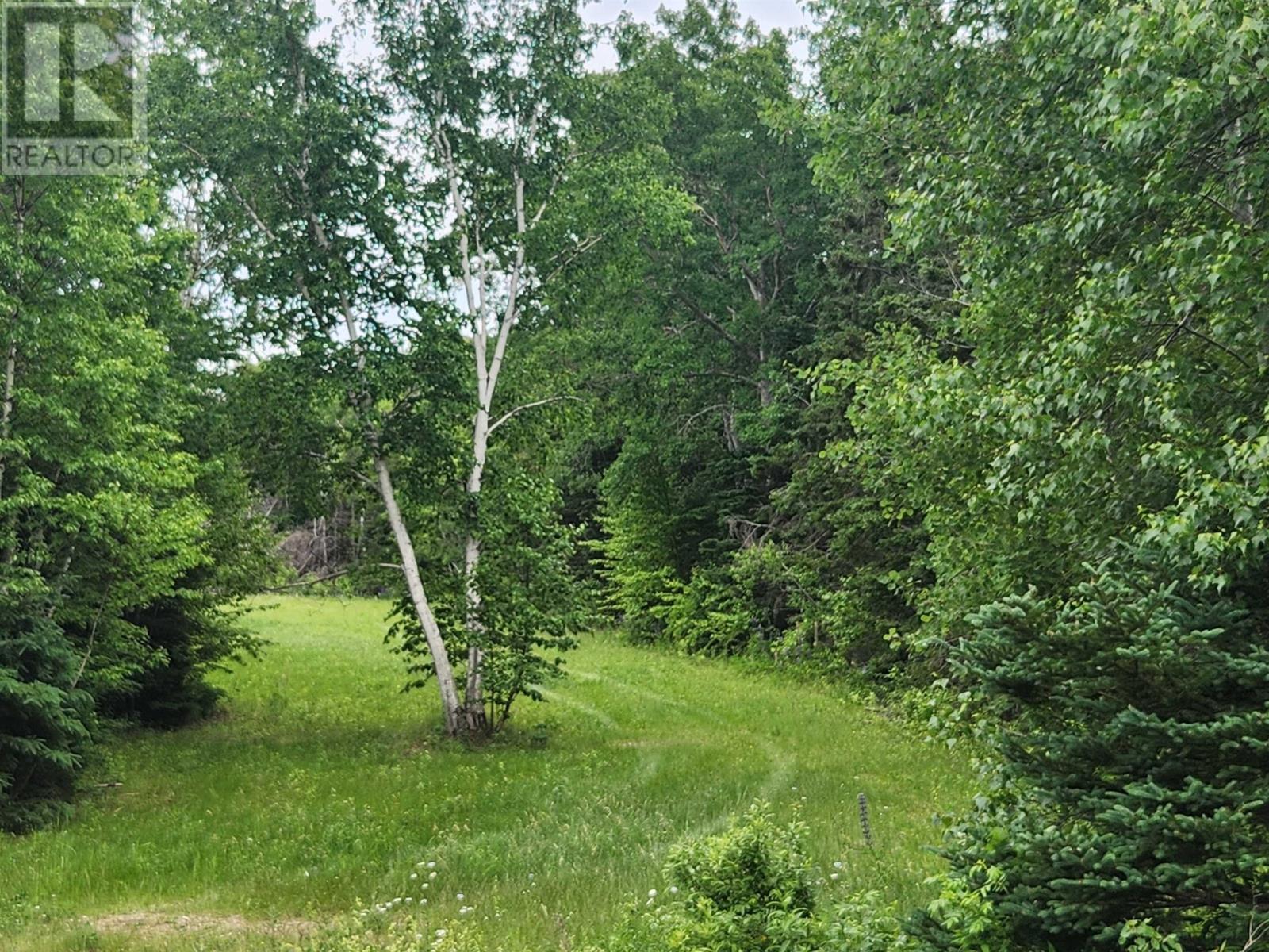 Acreage Gaspereaux Road Property Photo 15