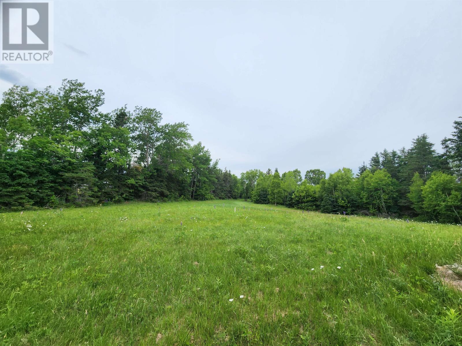 Acreage Gaspereaux Road Property Photo 16