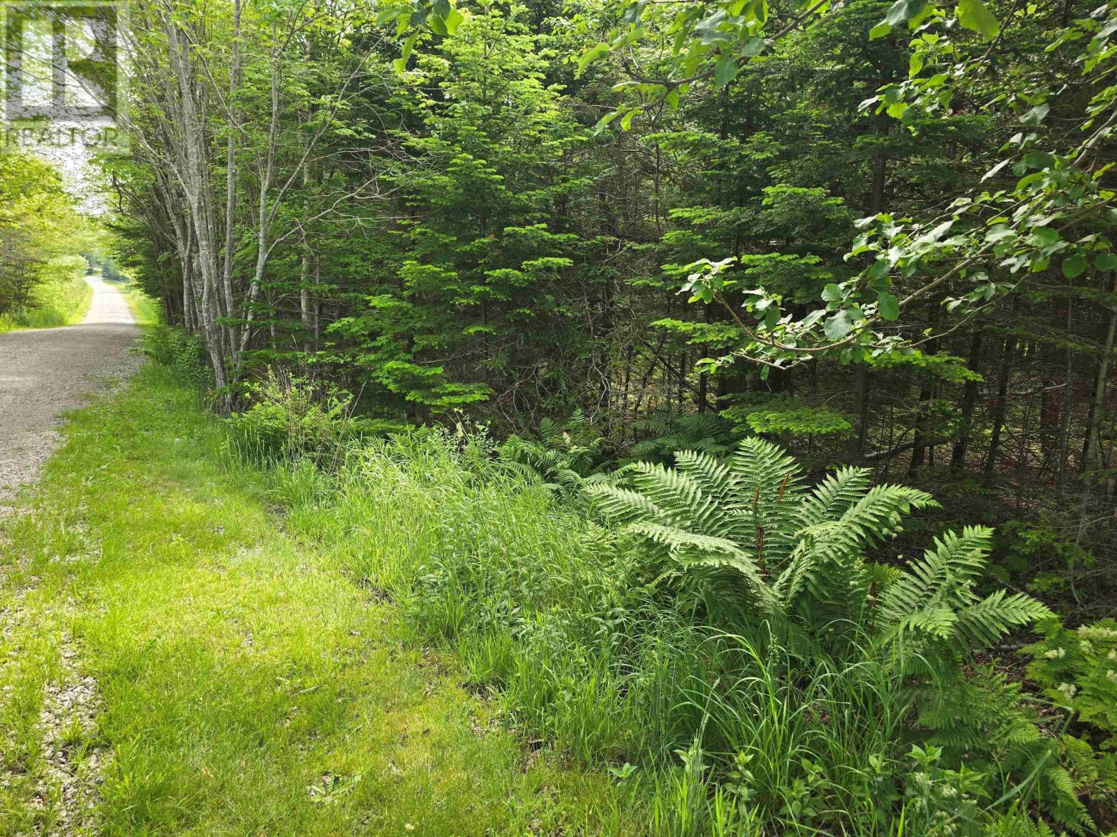 Lot Main Shore Road Property Photo 1