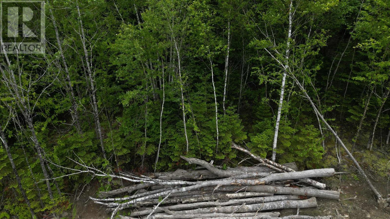 Block 1 Pearl Lane, Lot 11, Lot 15 Pearl Road Property Photo 3