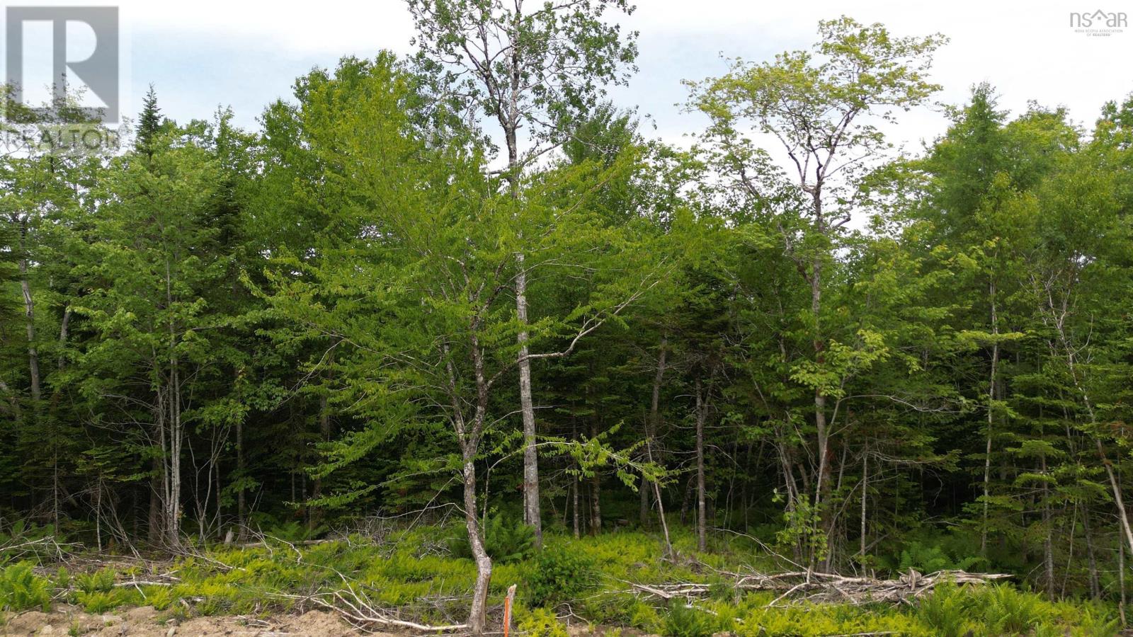 Block 1 Pearl Lane, Lot 11, Lot 15 Pearl Road Property Photo 5