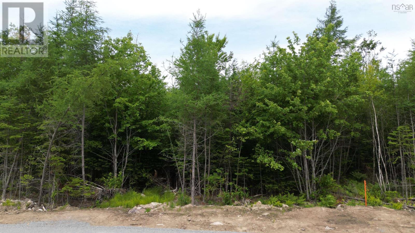 Block 1 Pearl Lane, Lot 11, Lot 15 Pearl Road Property Photo 6