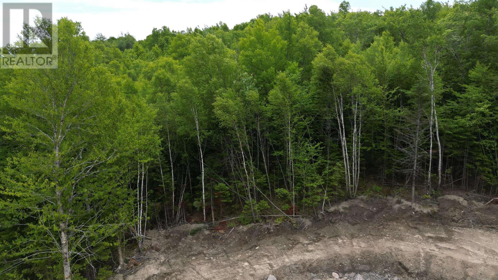 Block 1 Pearl Lane, Lot 11, Lot 15 Pearl Road Property Photo 7