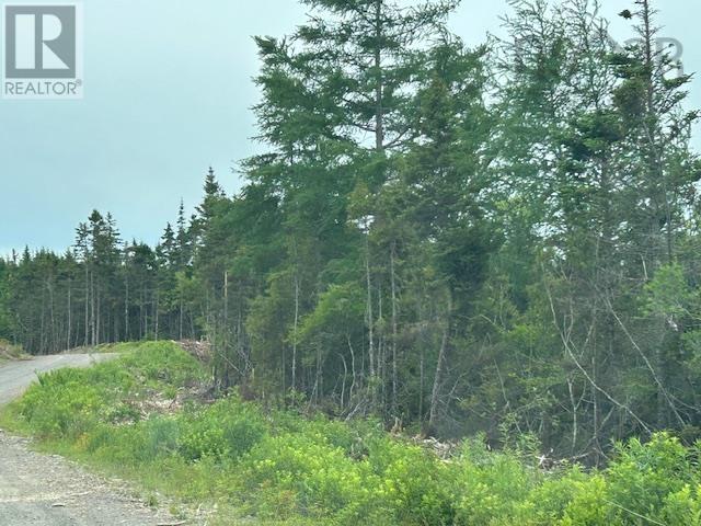 Salmon River Road Property Photo 1