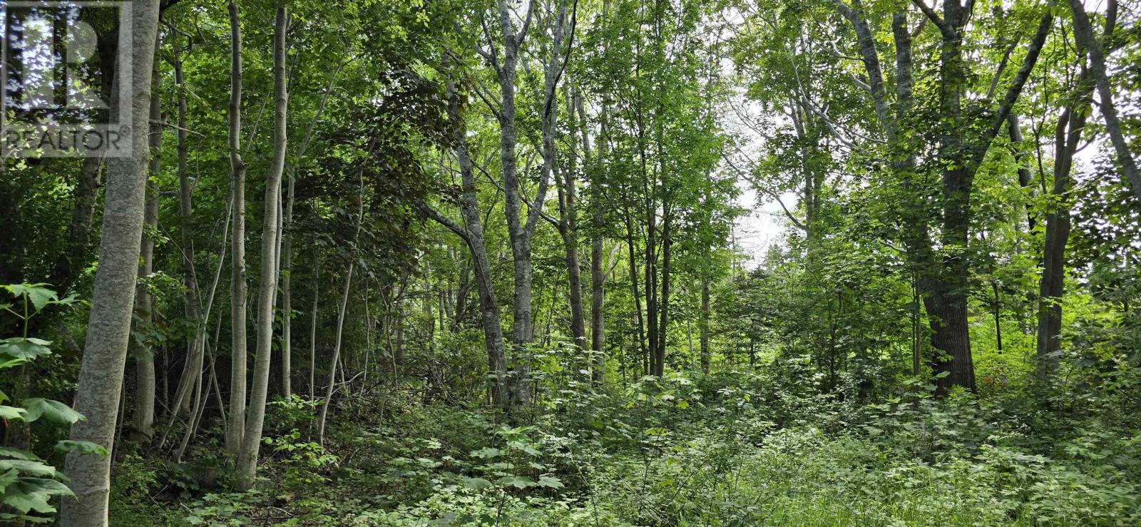 58 Long Cove Road Property Photo 7