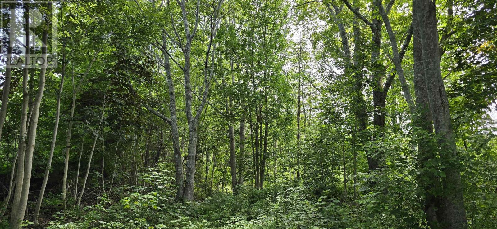 58 Long Cove Road Property Photo 8