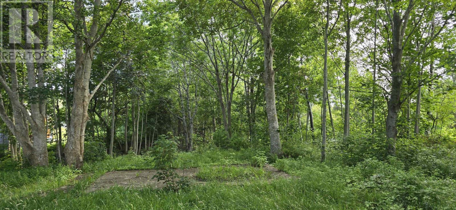 58 Long Cove Road Property Photo 9