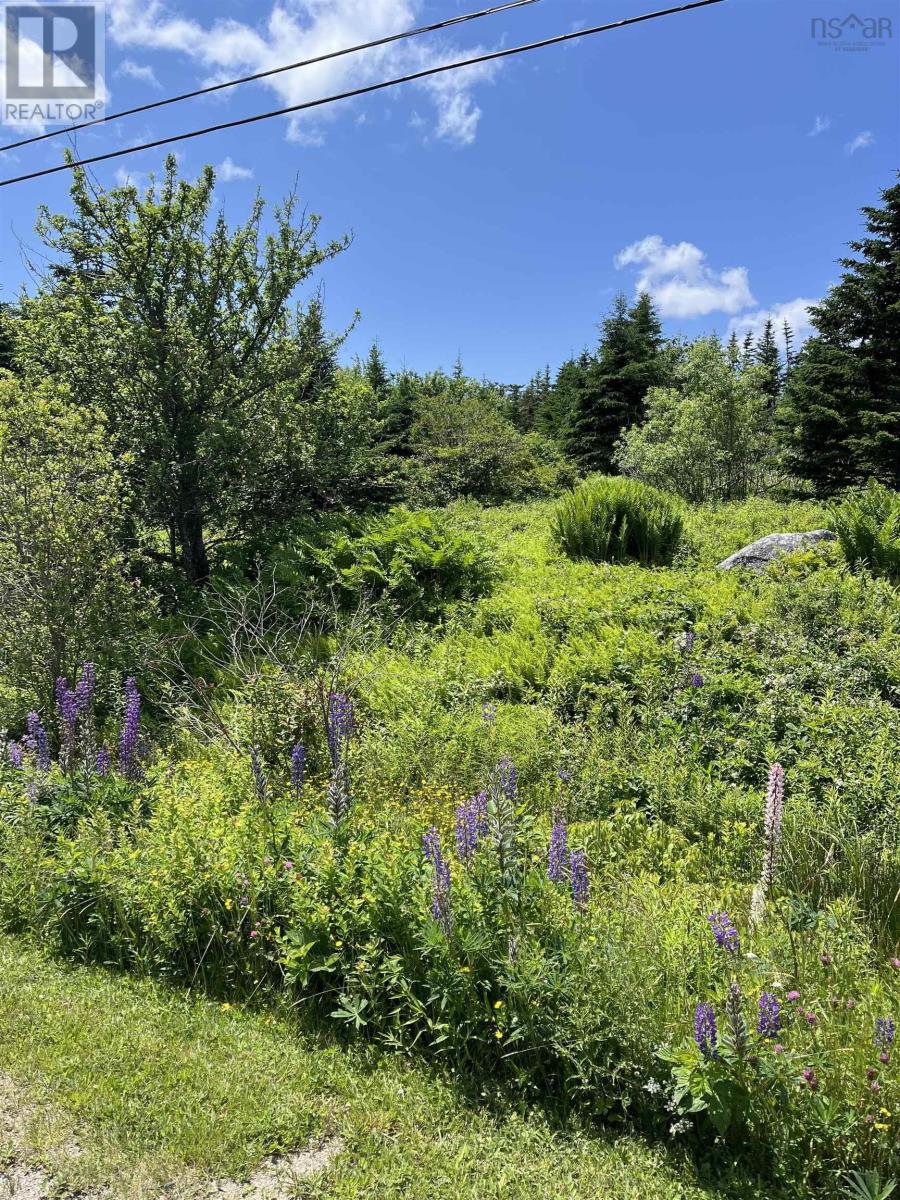 2584 West Ship Harbour Road Property Photo 4