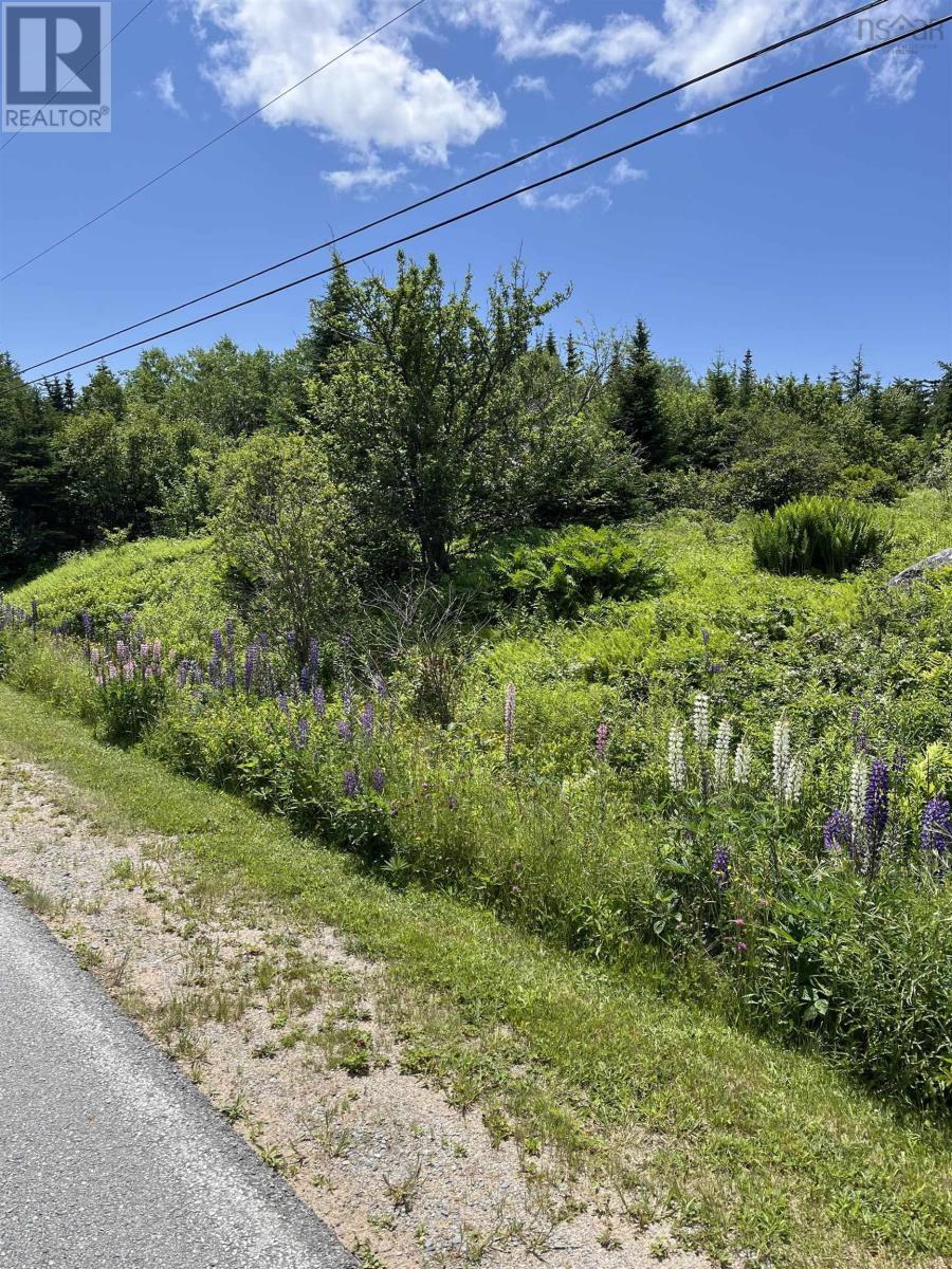 2584 West Ship Harbour Road Property Photo 5