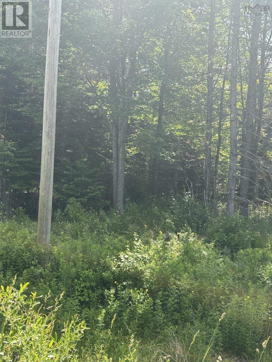 Lot Beechmont Road Property Photo 2