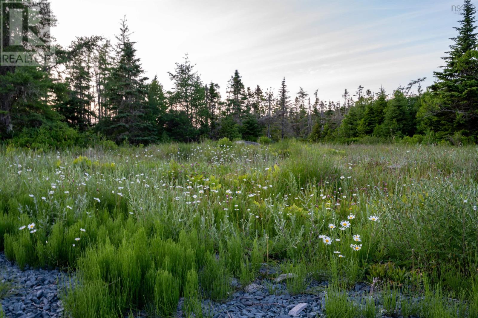 Lot B-4 Highway 7 Property Photo 6