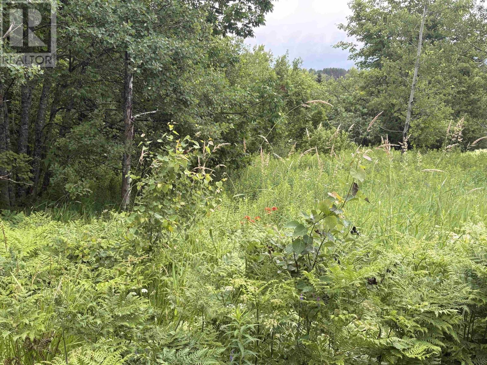 Lot 235 Landsdowne Station Road Property Photo 2