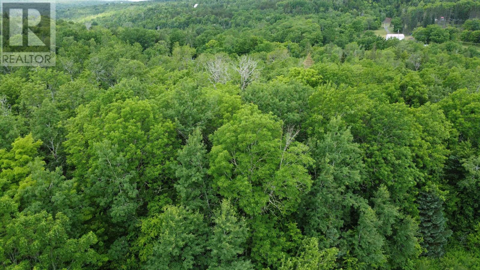 Lot 235 Landsdowne Station Road Property Photo 7