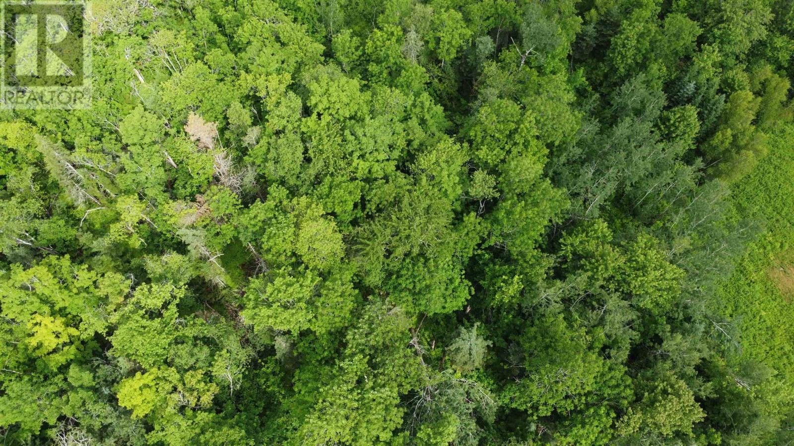 Lot 235 Landsdowne Station Road Property Photo 8