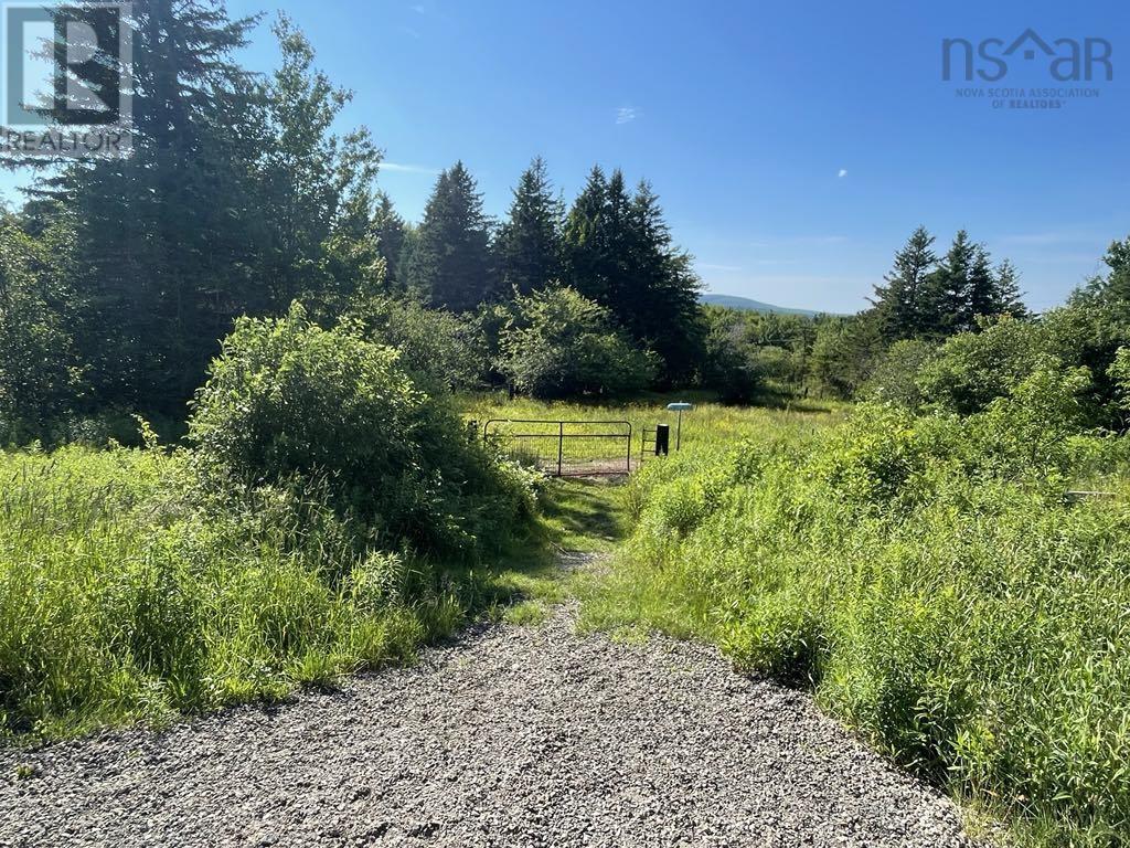 230 Arsenaults Hill Road Property Photo 18