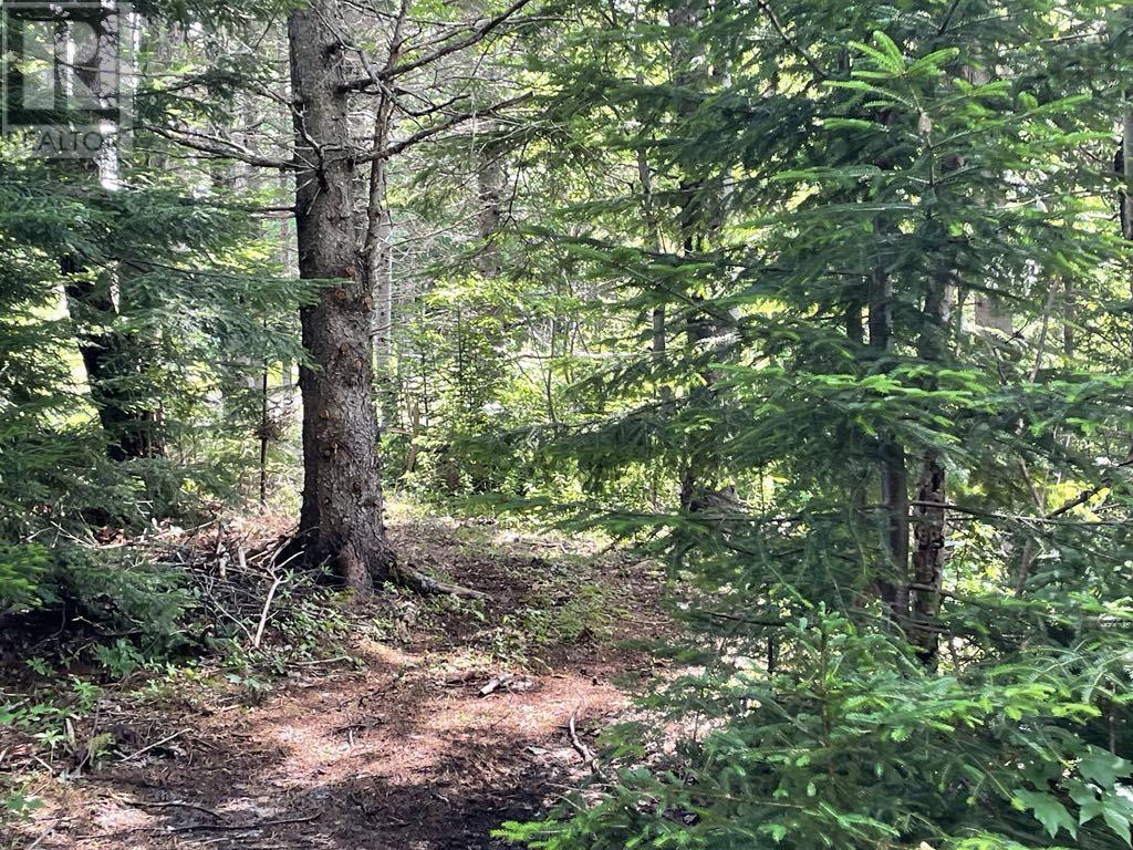 230 Arsenaults Hill Road Property Photo 19