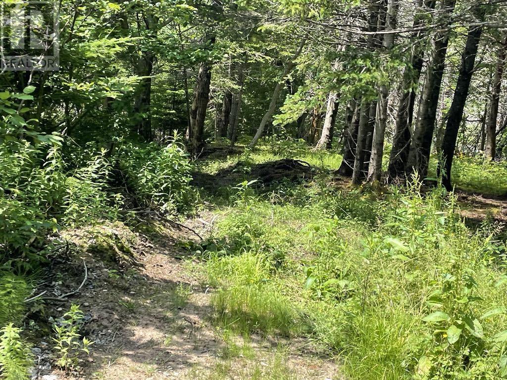 230 Arsenaults Hill Road Property Photo 20