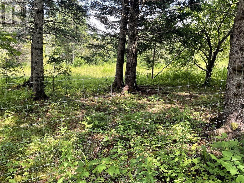 230 Arsenaults Hill Road Property Photo 21