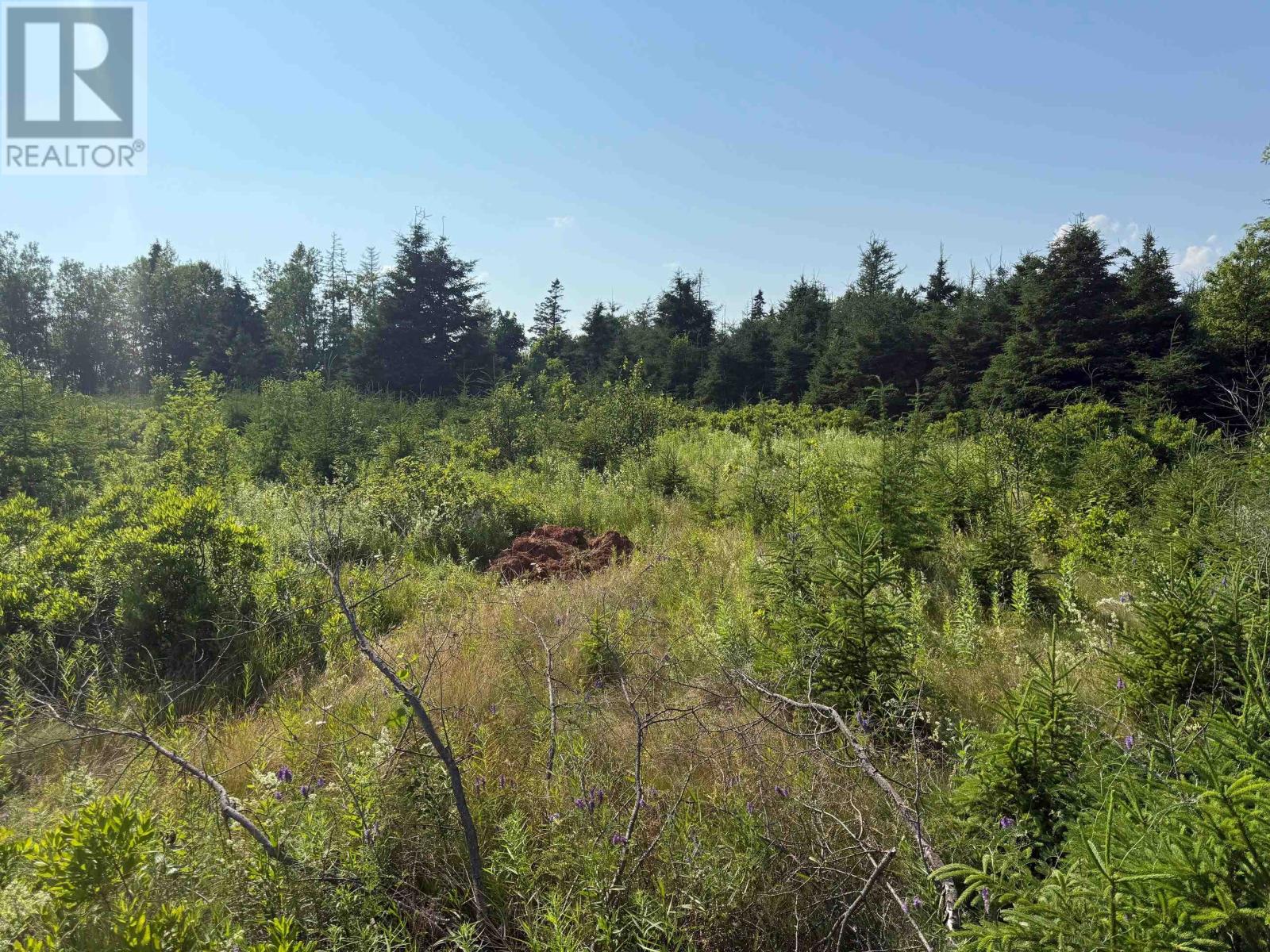 46 Sheri Court Property Photo 2
