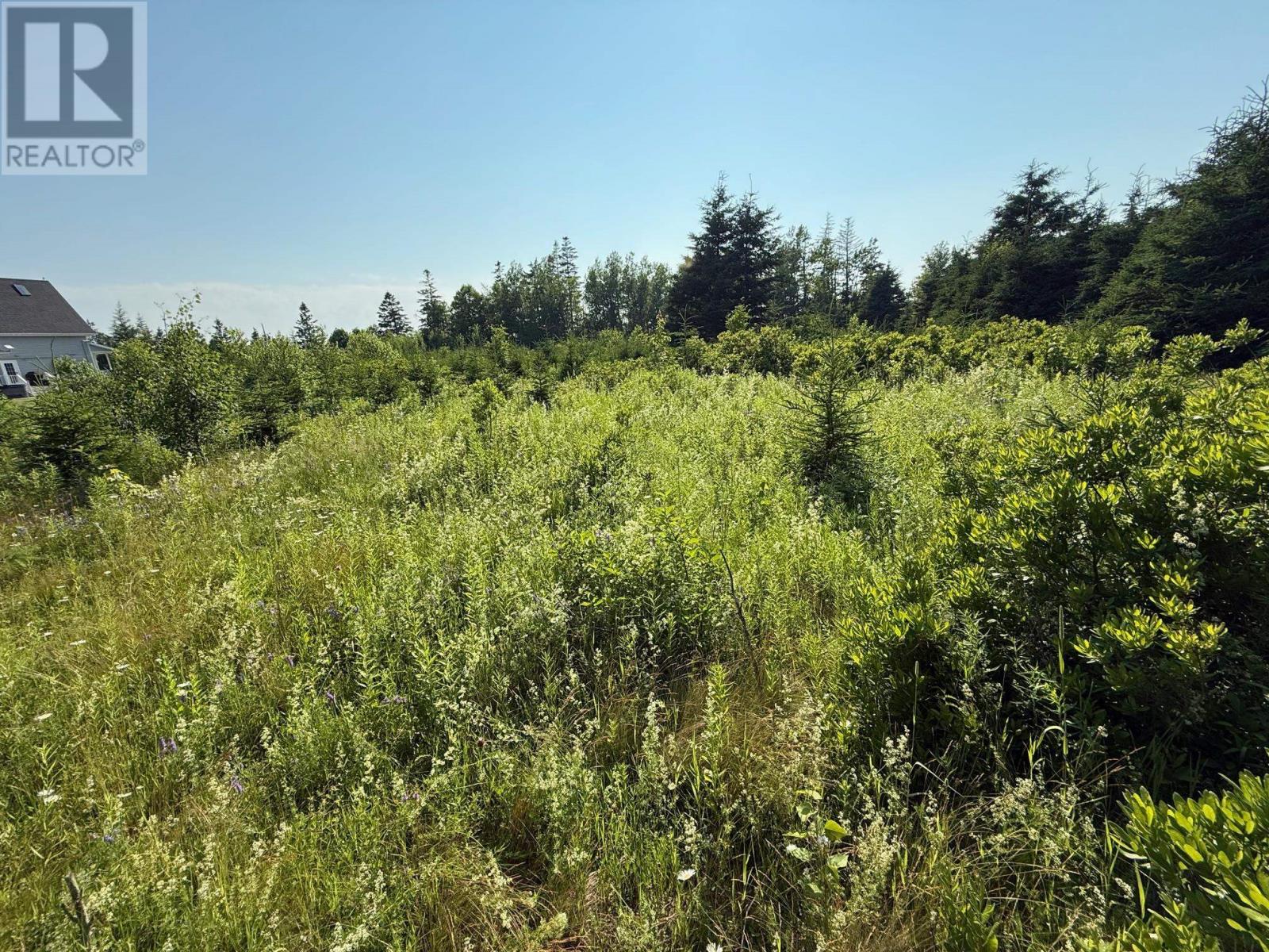 46 Sheri Court Property Photo 4