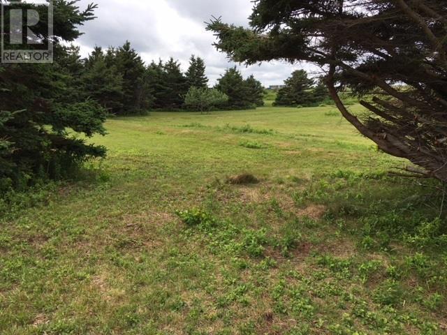 Roach Road Property Photo 3