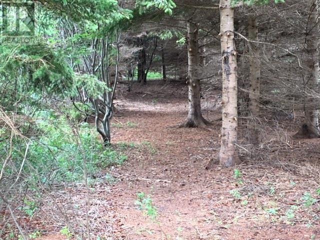 Roach Road Property Photo 4