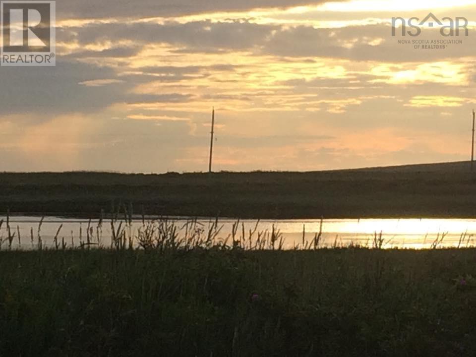 Roach Road Property Photo 8