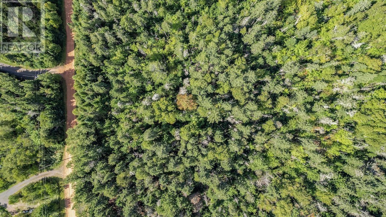 Lot 14 Cartersway Lane Property Photo 9