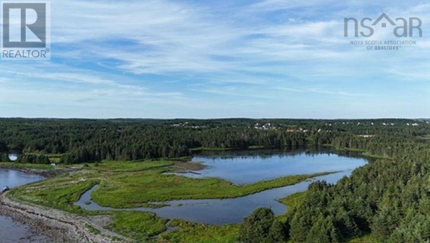 Lot 1-2 Highway 247 Property Photo 9