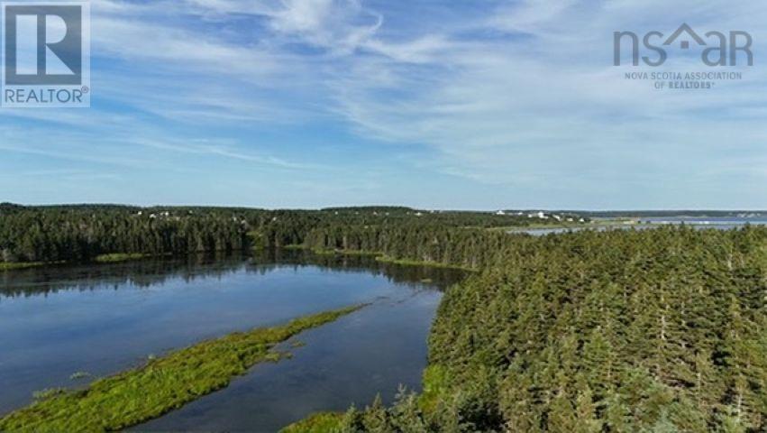 Lot 1-2 Highway 247 Property Photo 11