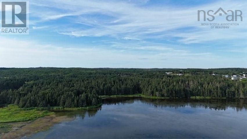 Lot 1-2 Highway 247 Property Photo 14