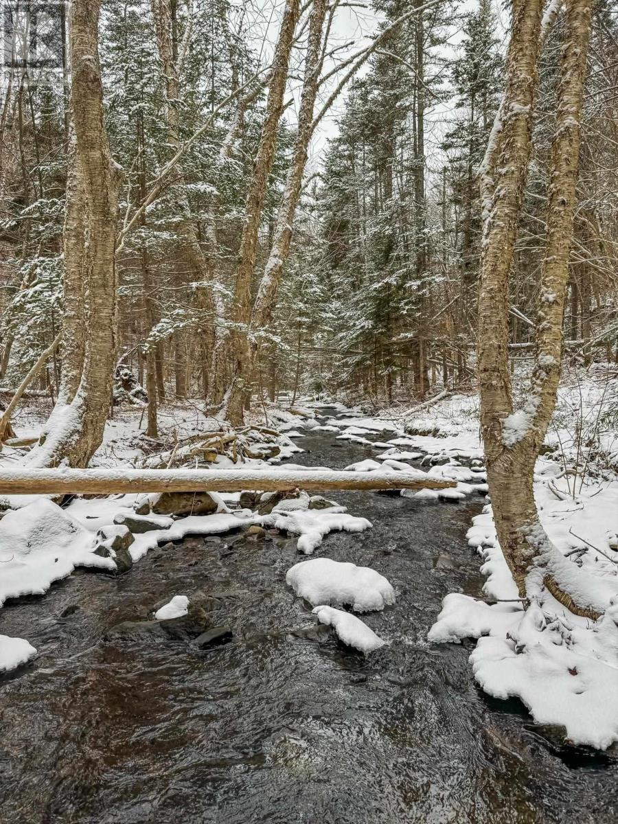 Baxters Harbour Road Property Photo 24