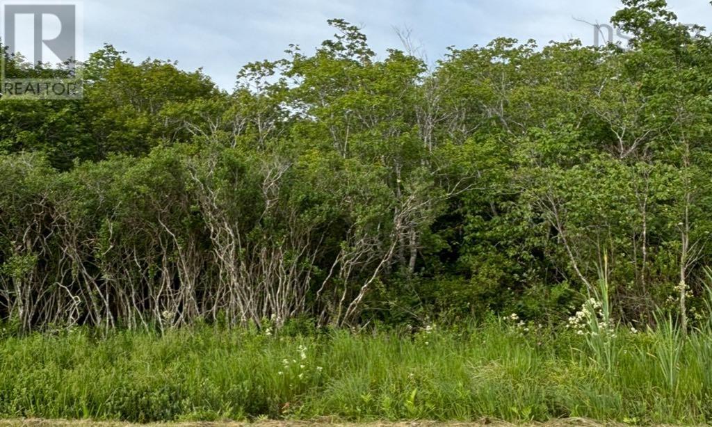 Highway 1 Property Photo 1