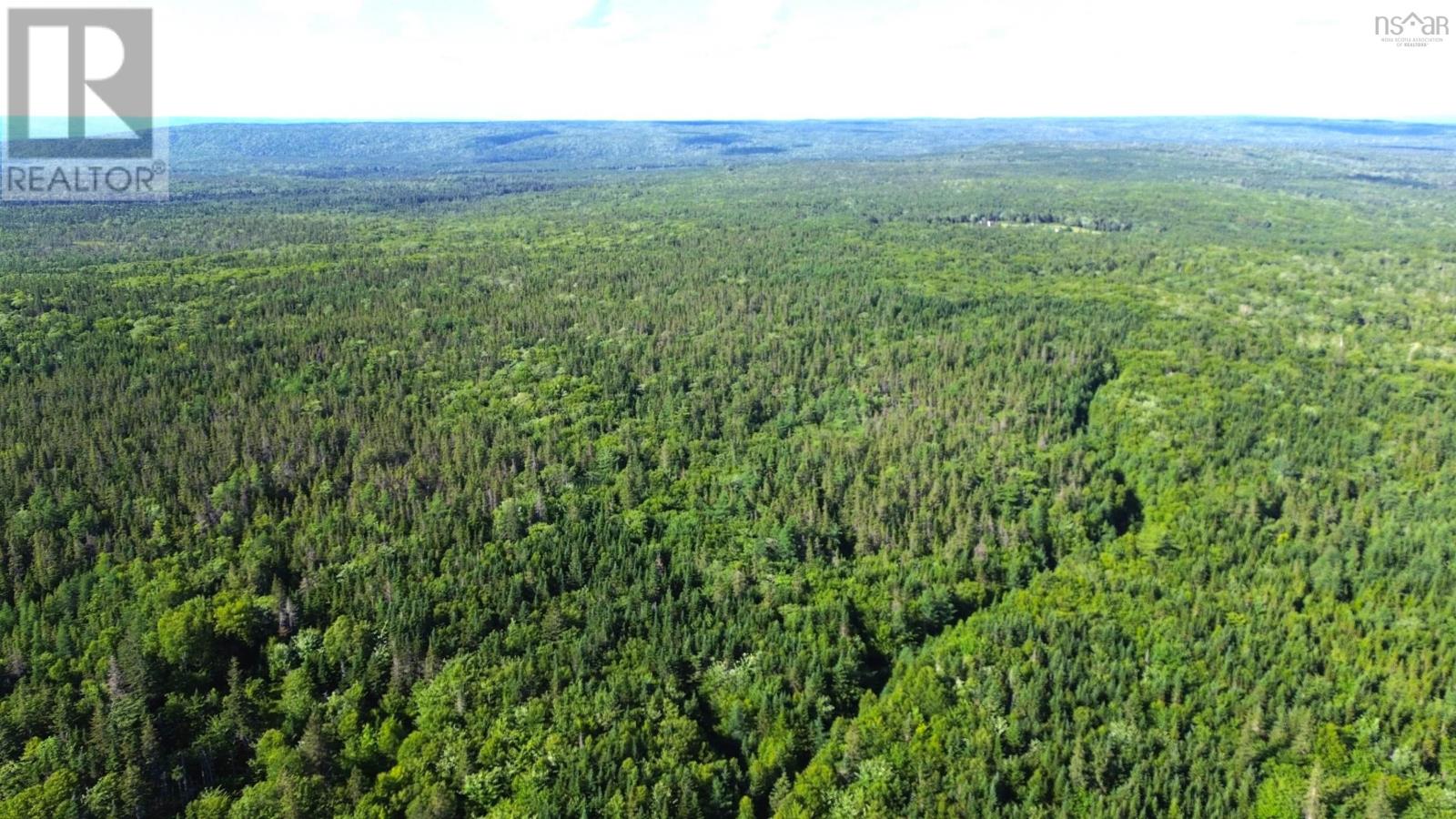 Black River Road Property Photo 1