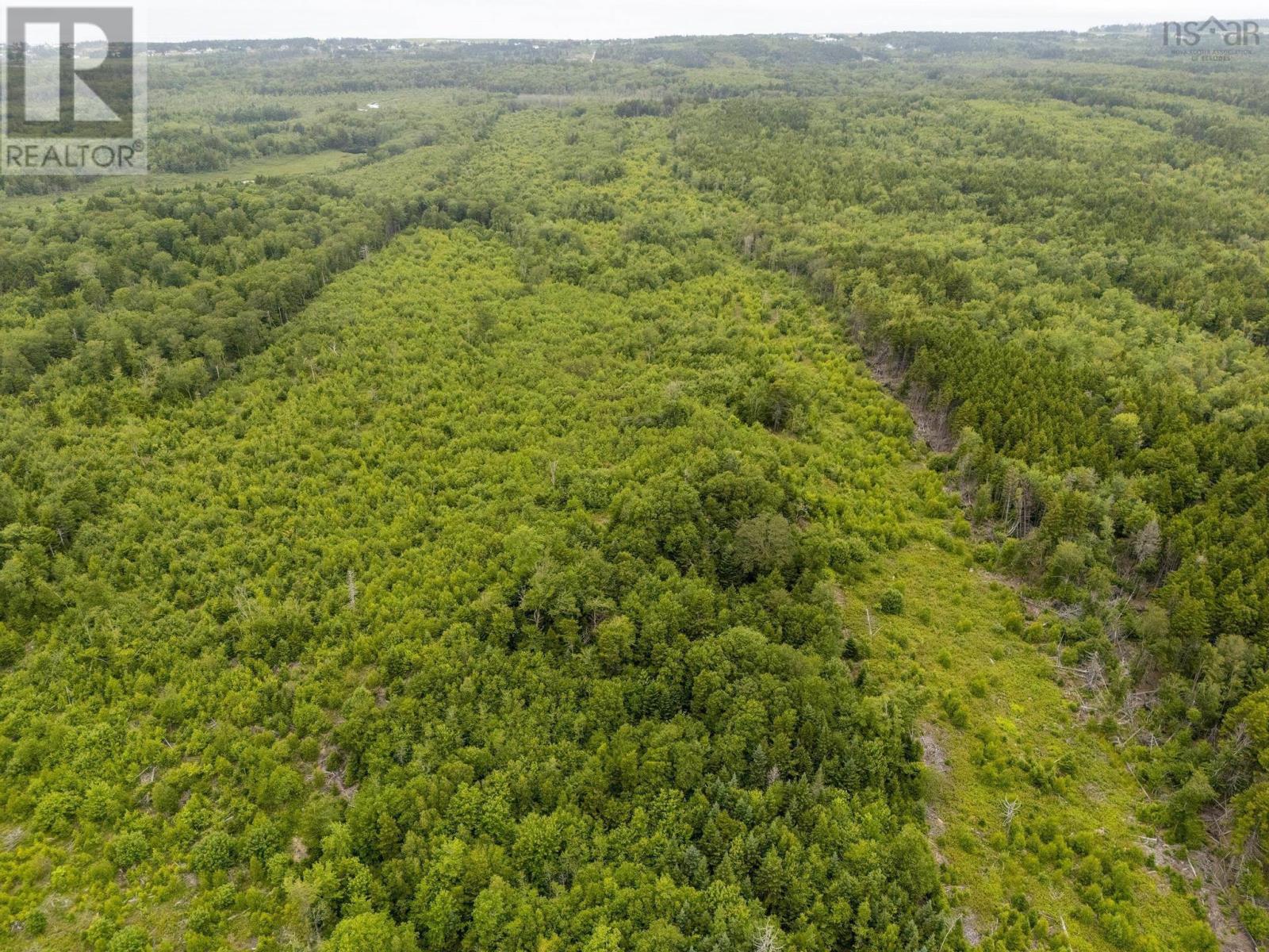 Lot 4 Highway 1 Property Photo 17