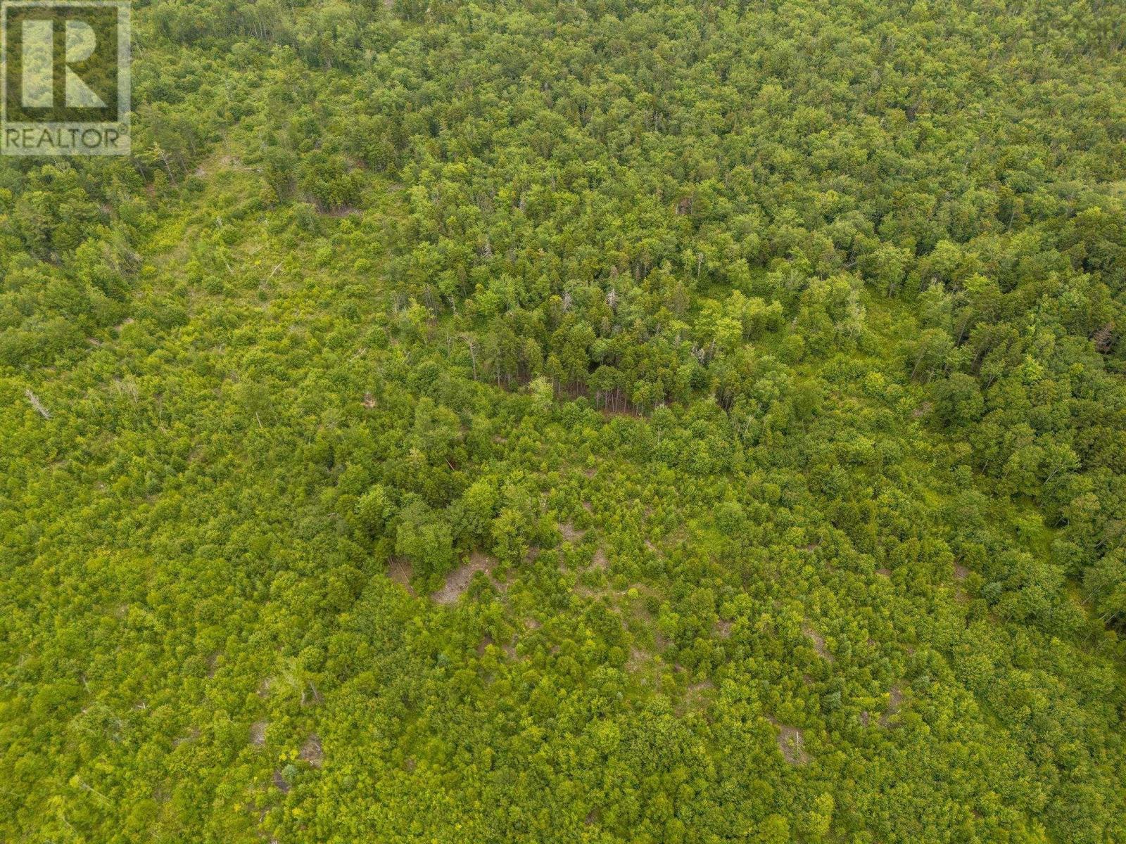 Lot 4 Highway 1 Property Photo 25