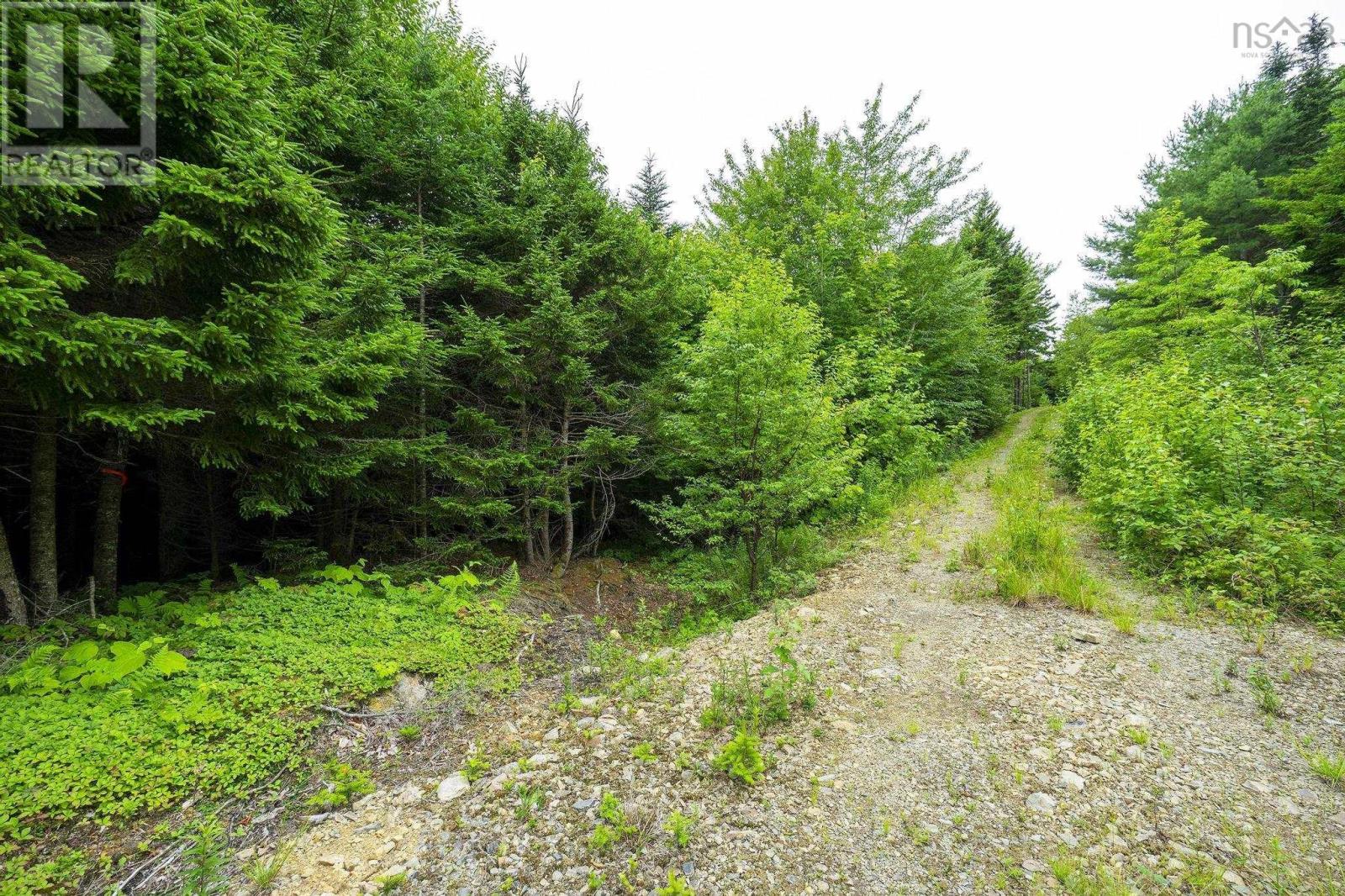 Lot 4 Highway 1 Property Photo 39