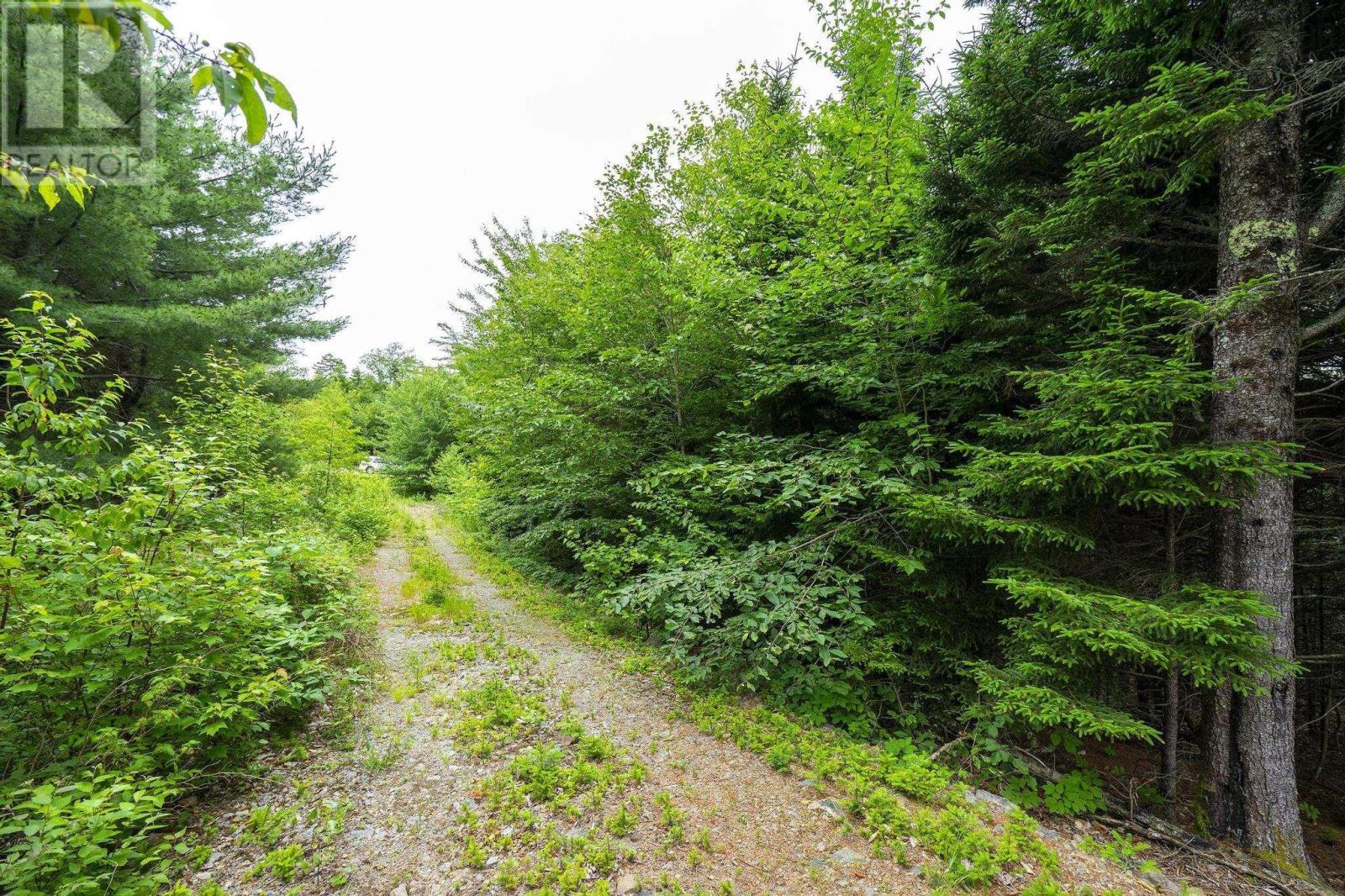 Lot 4 Highway 1 Property Photo 40